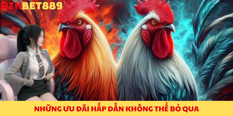Đá Gà BET88 – Khám Phá Sân Chơi Cá Cược Đỉnh Cao Tại Việt Nam 3 Những ưu đãi hấp dẫn không thể bỏ qua